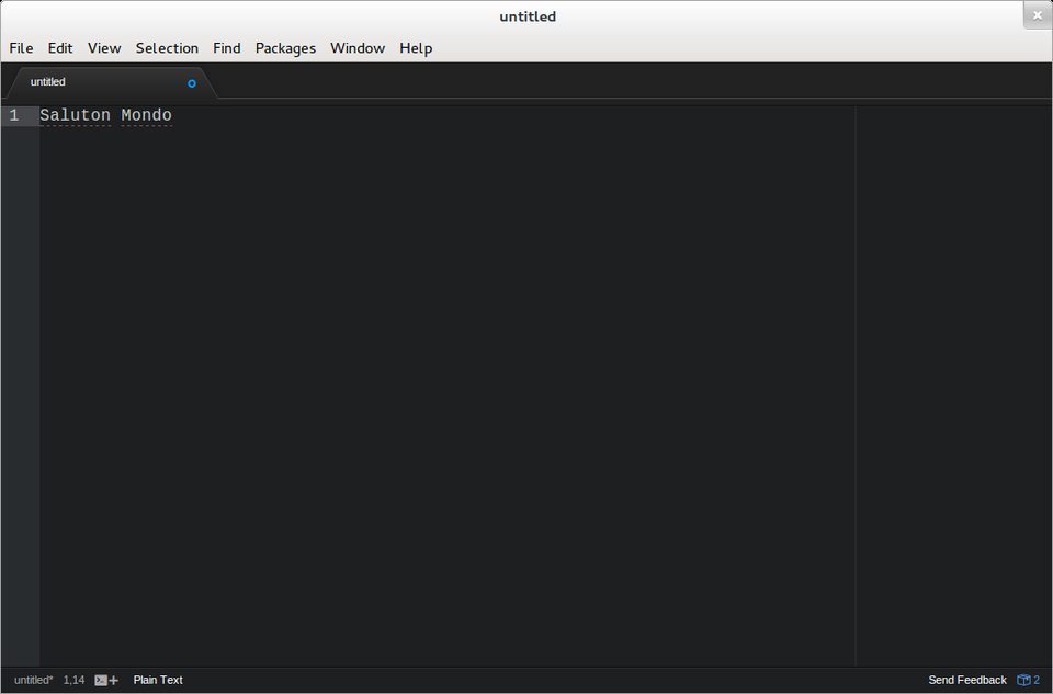 Code editor